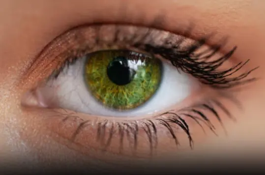 Why people with green eyes are so fascinating?