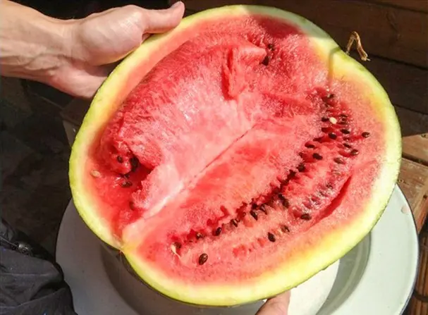 If your watermelon has these warning signs, it’s best to toss it