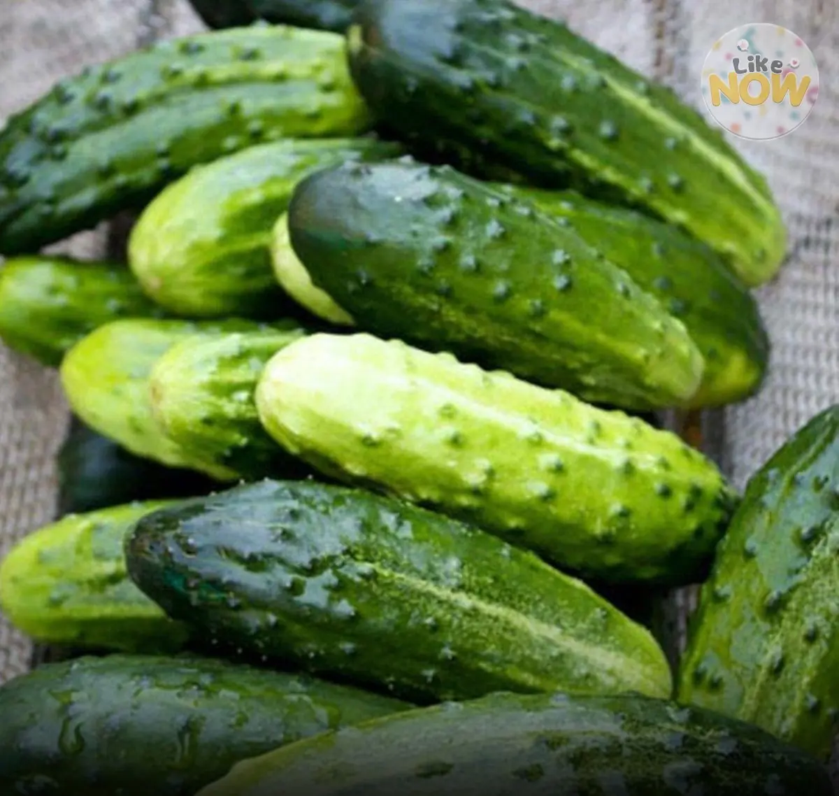Why some experts suggest limiting cucumbers in certain salads.