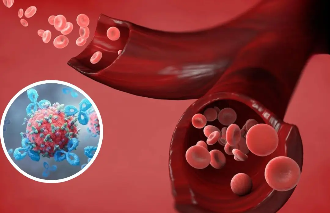 Researchers Suggest One Blood Type Might Be Linked to Lower Can.cer Risk — What Does It Really Mean?