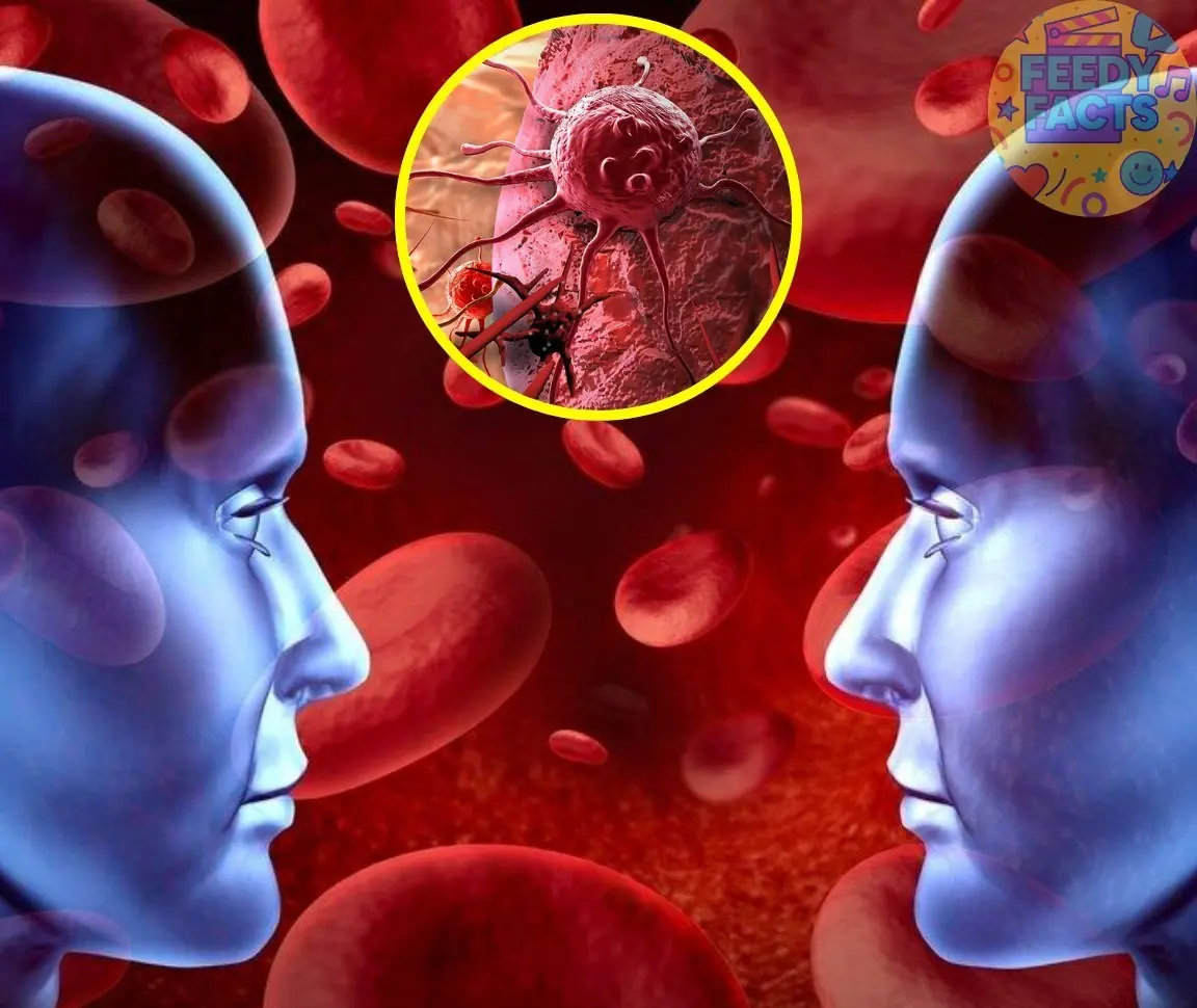 Medical Experts Examine the Connection Between Blood Type and Cancer Risk