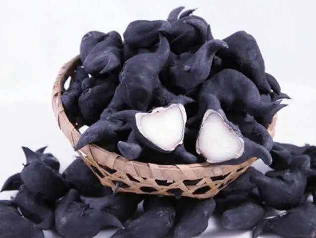 Five Vegetables That May Contain Hidden Worms and the Risks of Eating Them Uncooked