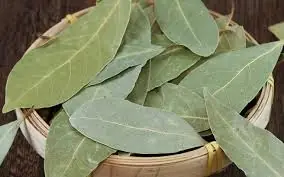Discover 7 Amazing Health Benefits of Guava Leaf Tea