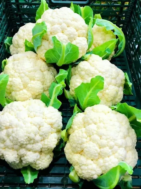 Before You Eat Cauliflower Again, Make Sure You Read This
