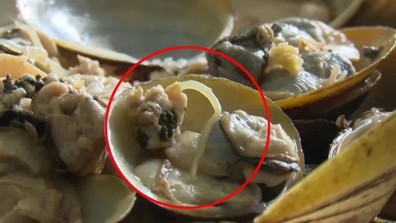 Food Safety Alert: Common Foods That May Carry Hidden Parasite Risks