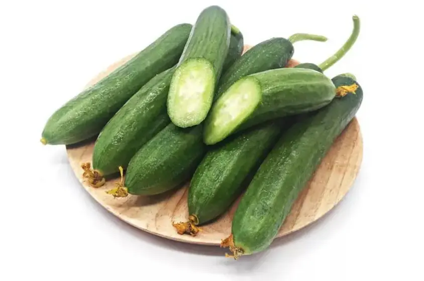 Here’s what really happens to your body if you eat cucumbers every day