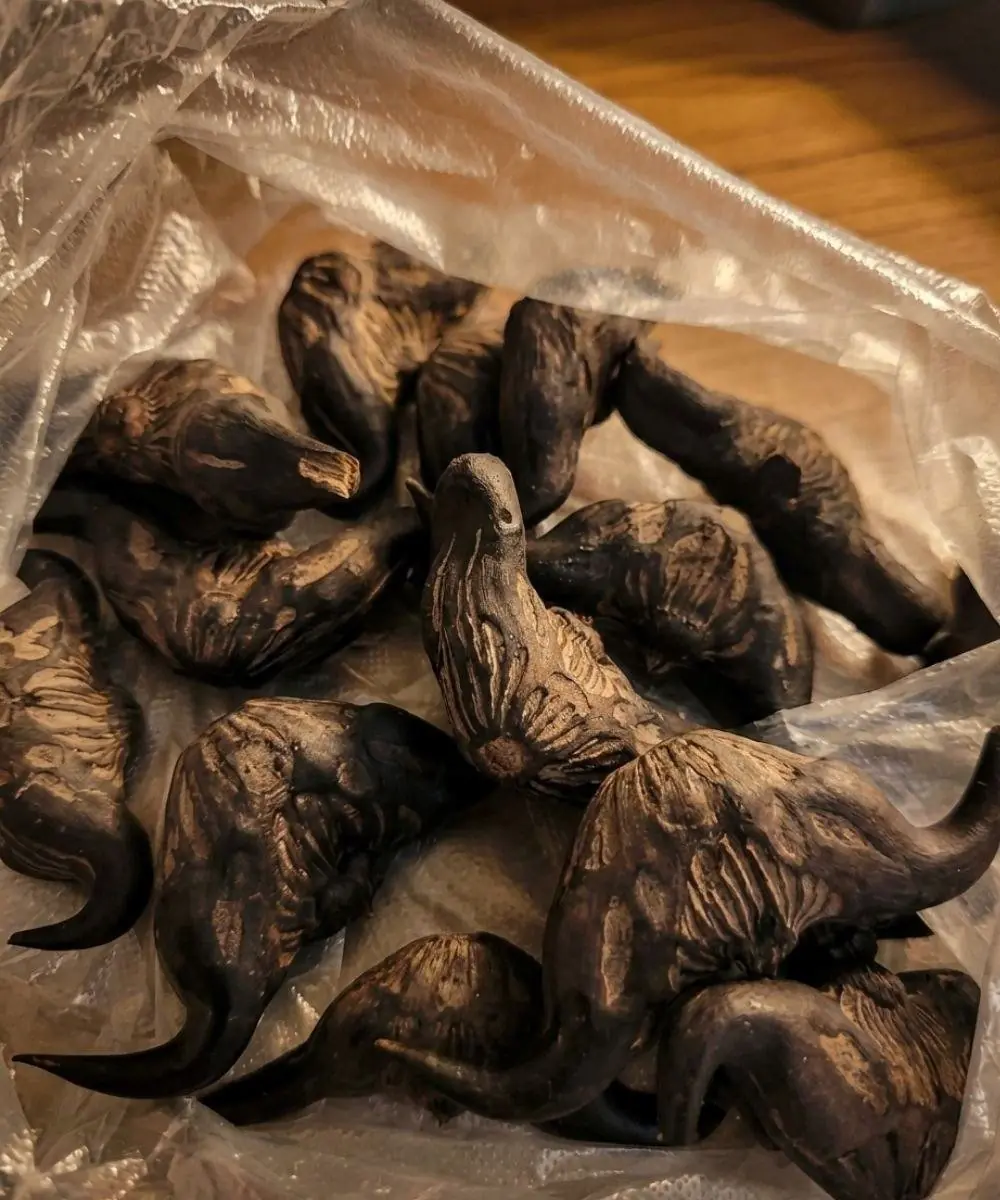 5 Warning Signs You Should Never Eat This Wild Forest Root