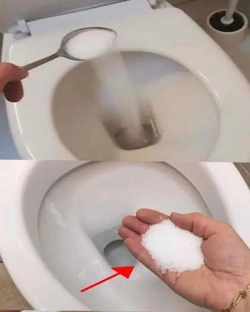 Why Putting Salt in Your Toilet Is a Simple Trick Many Homeowners Are Trying