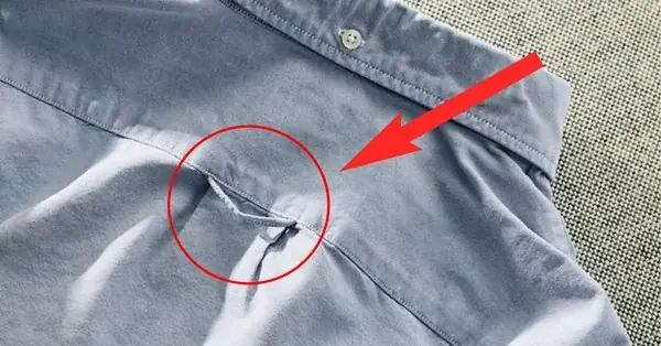 Why Do Button-Down Shirts Have a Loop on the Back? The Surprising History Behind It
