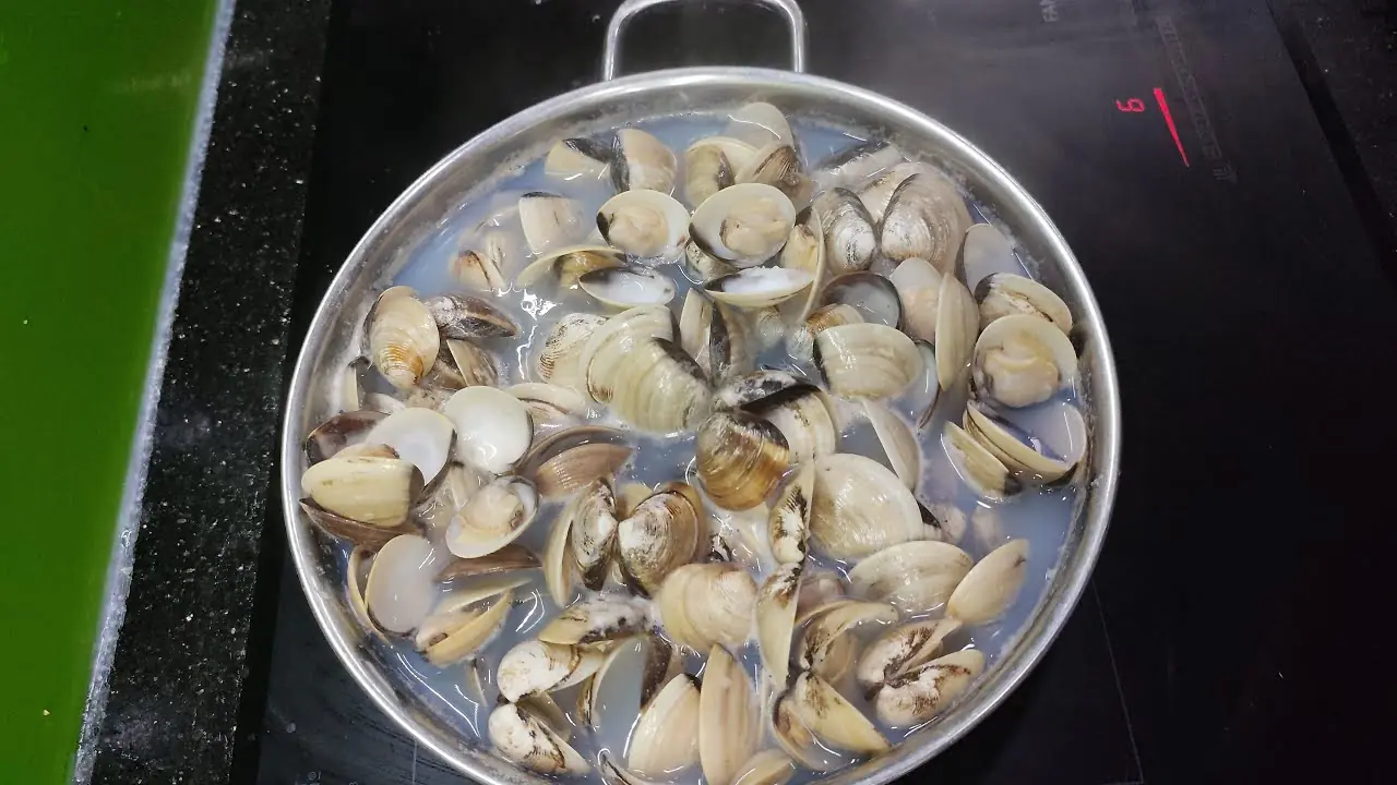 The Hidden Secrets Inside Clams That Will Blow Your Mind