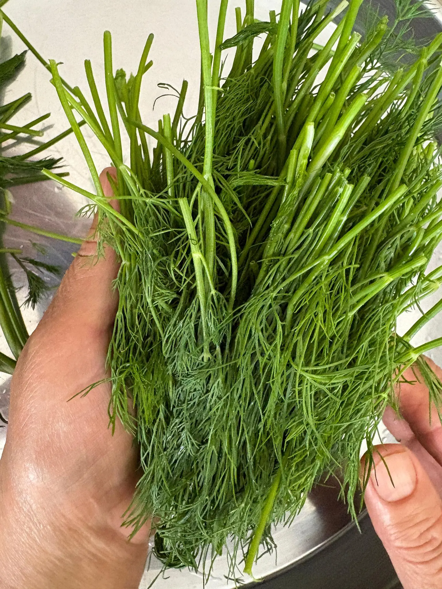 Which vegetable is said to be richer in calcium than eggs — is it dill?