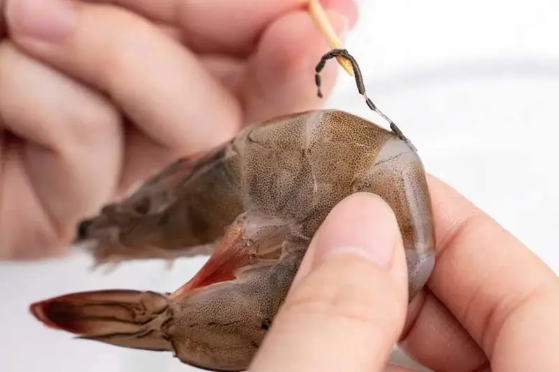 What Is the Black Vein in Shrimp and Should You Remove It?