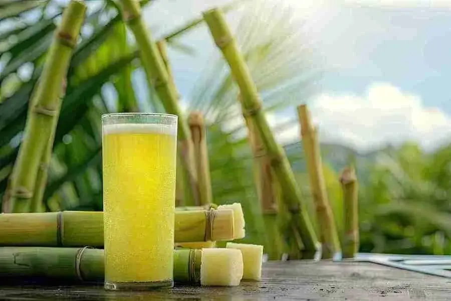 Sugarcane Benefits: A Sweet and Natural Way to Support Your Health