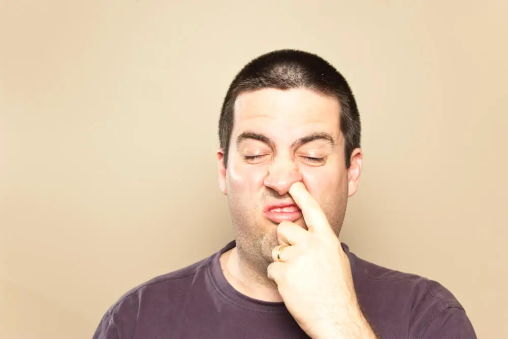 Nose Picking Explained: The Surprising Meaning Behind This Habit