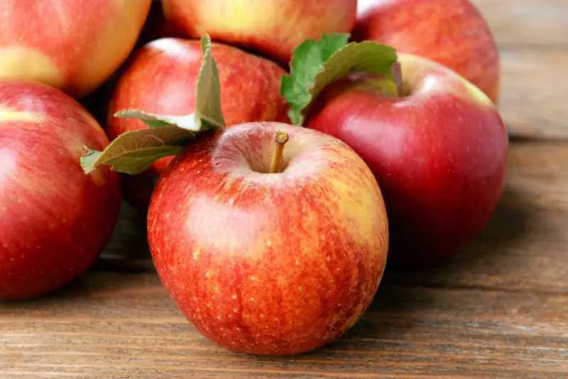 What Happens to Your Body When You Eat Apples Regularly?