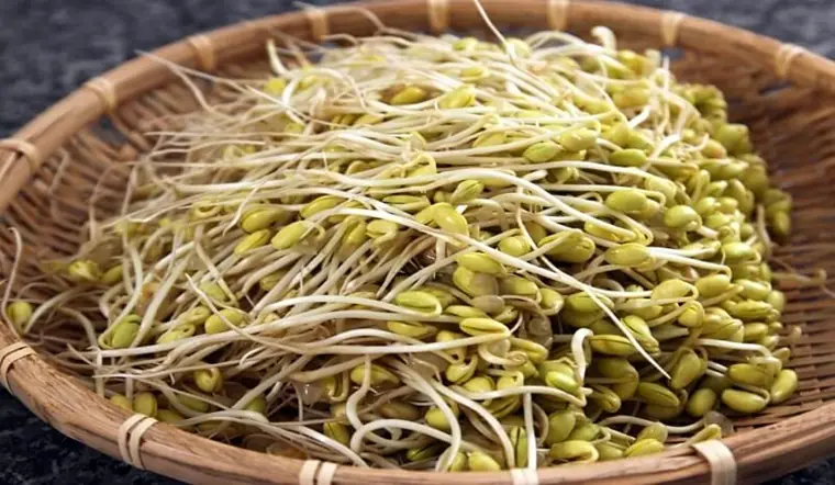 How to clean bean sprouts to remove harmful substances