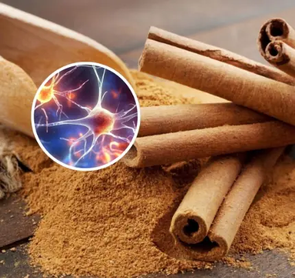 Cinnamon and Neuroprotection: Evidence for Anti-Alzheimer’s Mechanisms