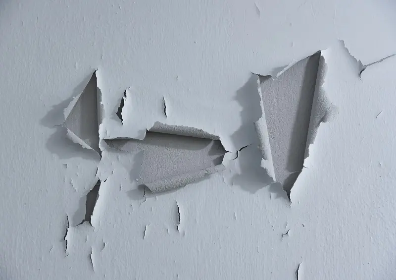 No Technician Needed: A Simple Method to Handle Wall Mold and Peeling Paint