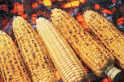 What Happens to Your Body When You Eat Grilled Corn?