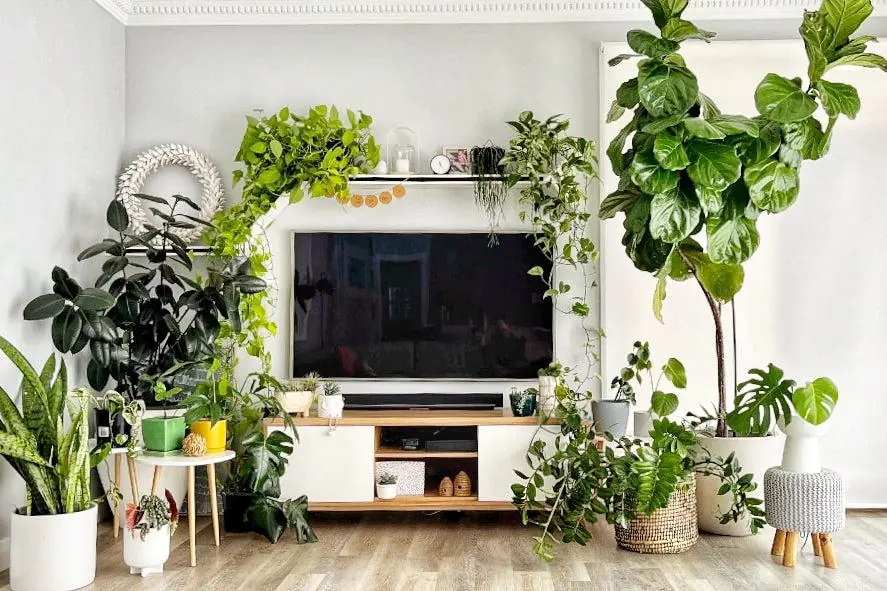 Avoid Putting These 4 Items Next to Your TV If You Don’t Want to Waste Money