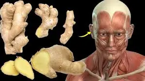 The Effects of Eating Ginger Every Day on Your Body Explained