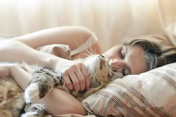 Do You Sleep With Your Cat? Here’s What You Should Know About Potential Health Risks