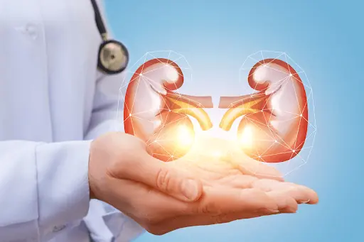 Pay Attention to These 8 Signs That May Be Linked to Kidney Health