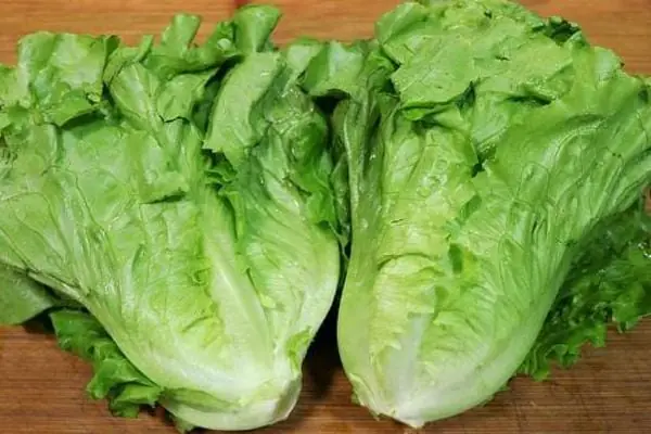 9 Vegetables That Should Be Washed Thoroughly to Reduce the Risk of Contamination