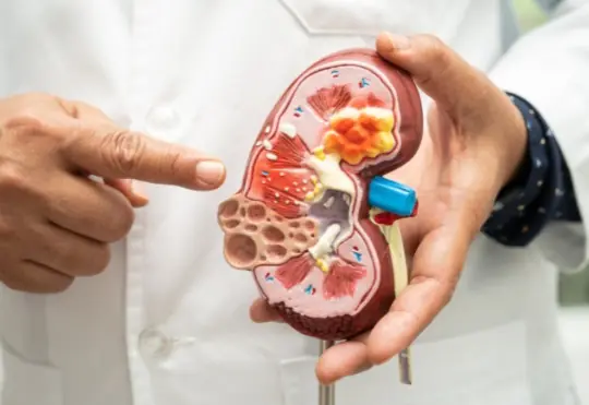 1 minute to “check your kidneys” at home: Strong or weak, you can tell at a glance — advice from a veteran physician with 40 years of experience