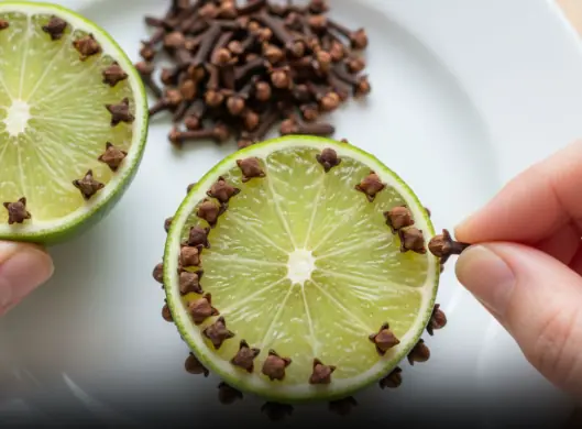 Take this and stick it in a lemon and leave it in the corner of the house