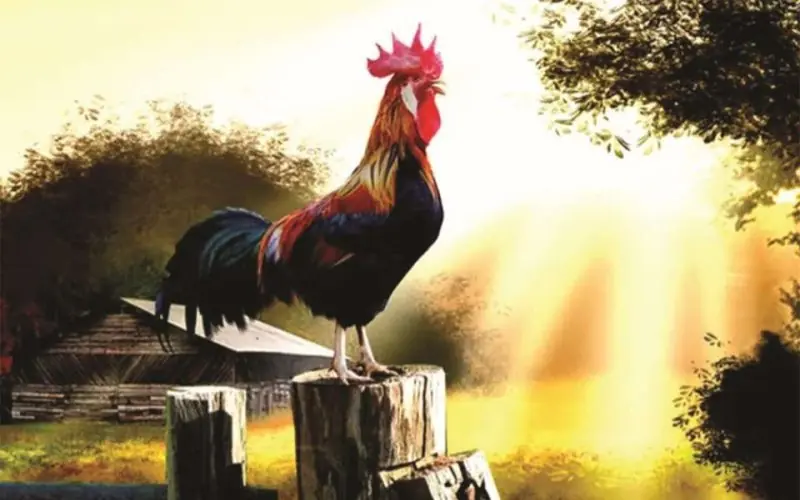 These 5 Strange Sounds in Your Home Are Often Linked to Bad Luck - Do You Hear Them?