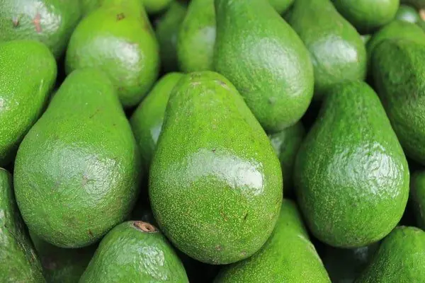 ER Doctors Issue Urgent Warning About Avocados After Thousands Are Hospitalized