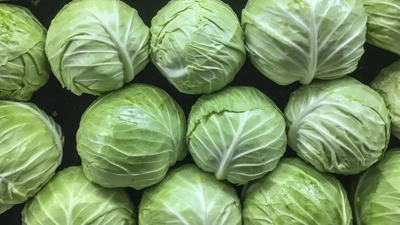 Raw Cabbage May Seem Healthy — But These Hidden Risks Could Surprise You