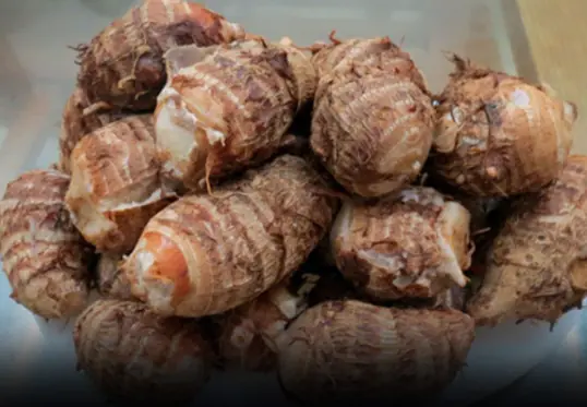 A village with almost no cancer cases—thanks to a root vegetable that’s cheap and eaten daily