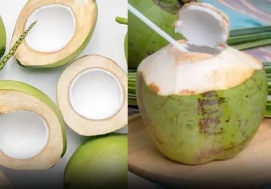 Drink coconut water on an empty stomach for 7 days, kill 10 birds with one stone: it's a waste not to try it