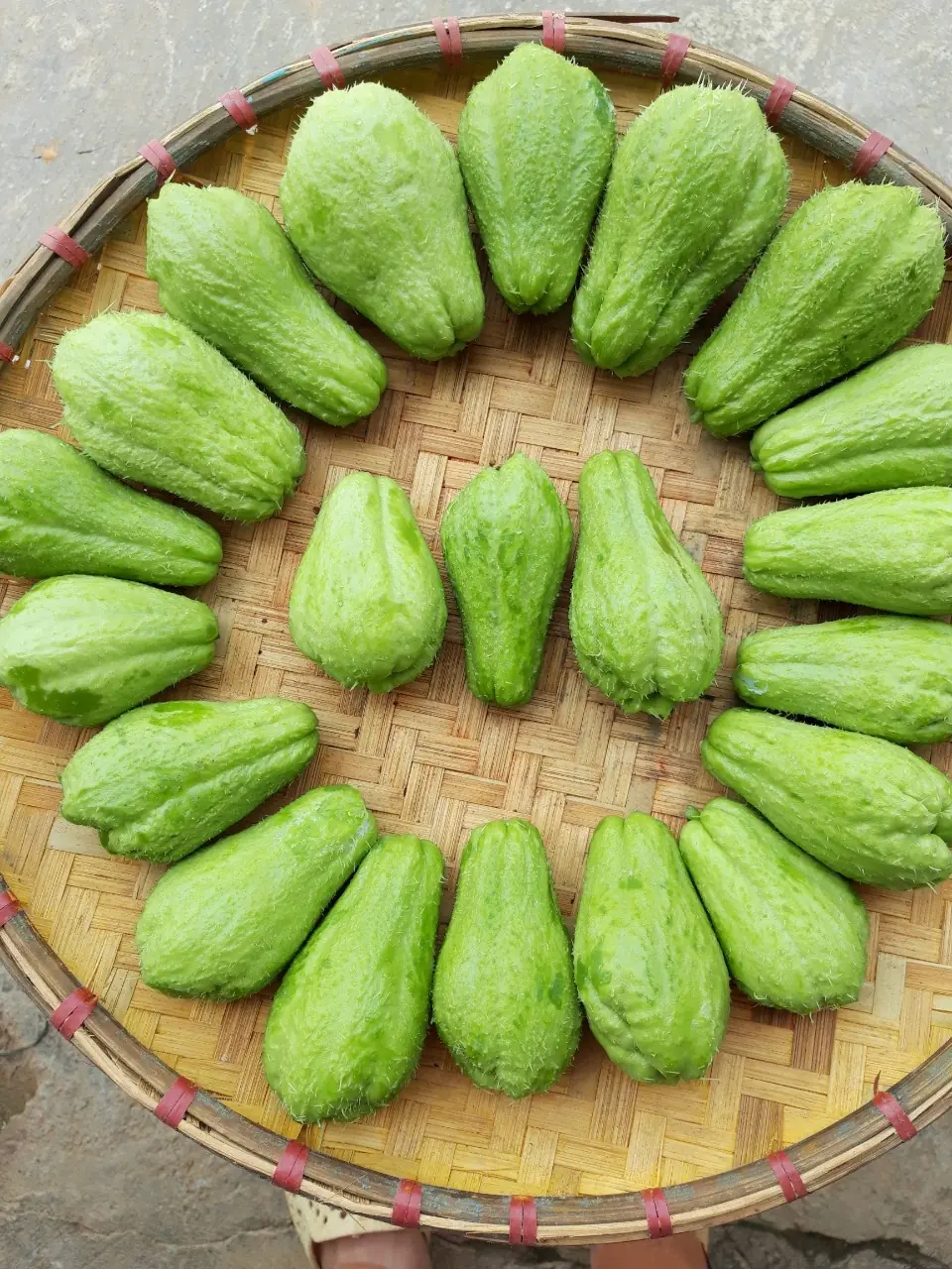 Medical experts reveal what may happen to your body when you eat chayote