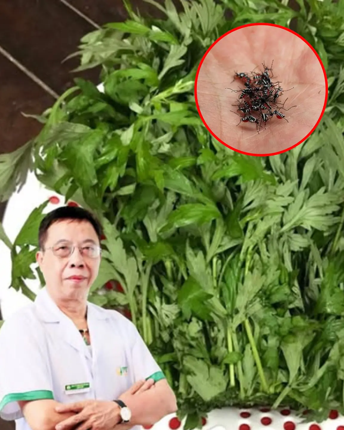 This simple leaf trick can keep flies and mosquitoes away from your home