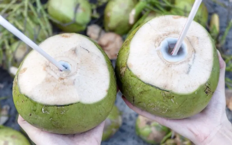 Coconut water isn’t for everyone — 7 groups who should be careful