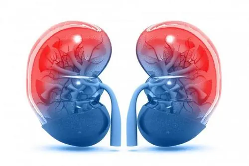 How Your Body May Signal Kidney Problems at Night: 5 Key Signs
