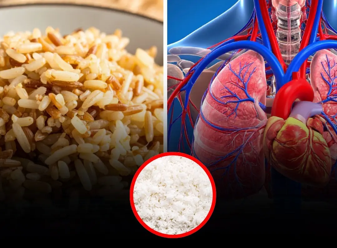 Brown Rice vs. White Rice: Why Making the Switch Matters for Your Health