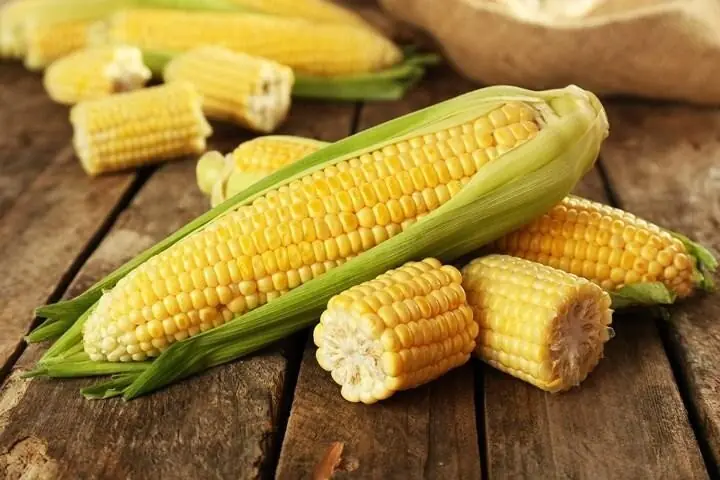 Here’s What Happens to Your Body When You Eat Corn: 11 Surprising Effects
