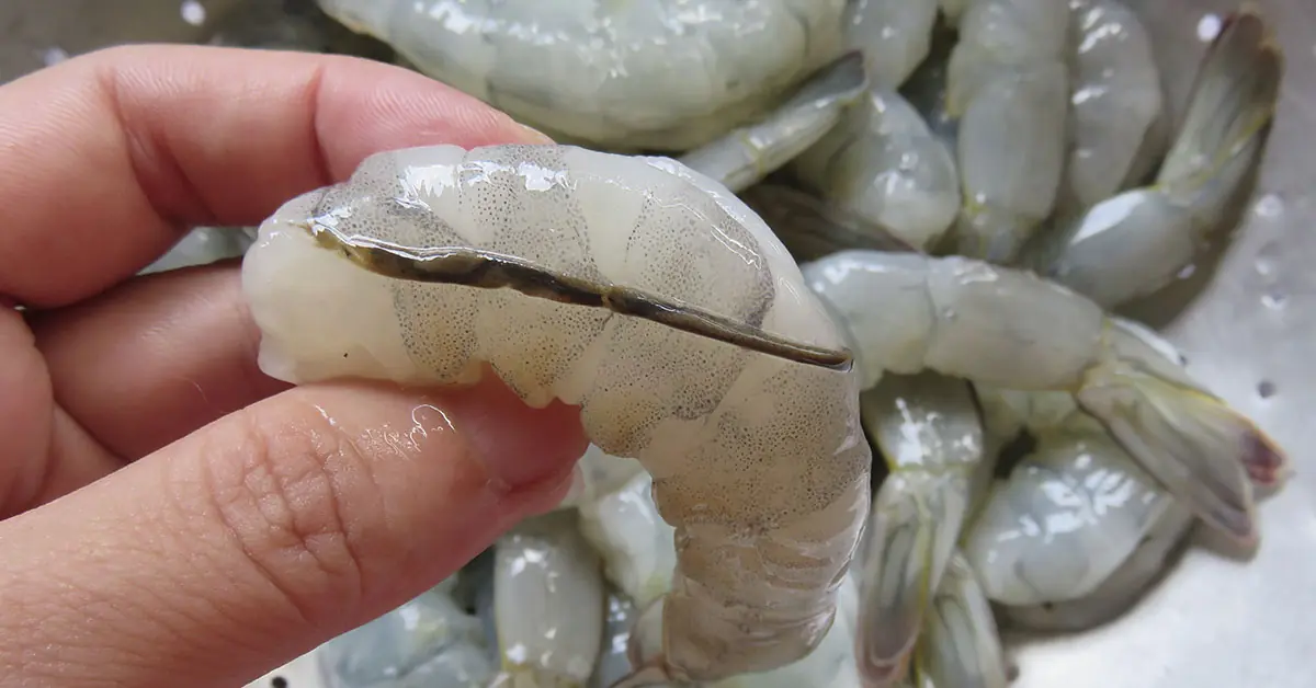 What Is the Black Vein in Shrimp? The Truth Most People Don’t Know