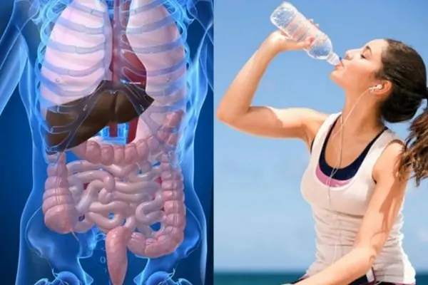 What Happens When You Drink Water on an Empty Stomach Right After Waking Up?