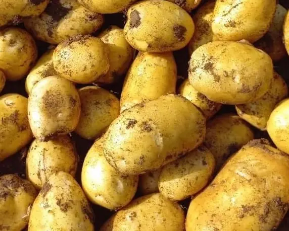 While potatoes are a popular favorite, they may not be suitable for everyone