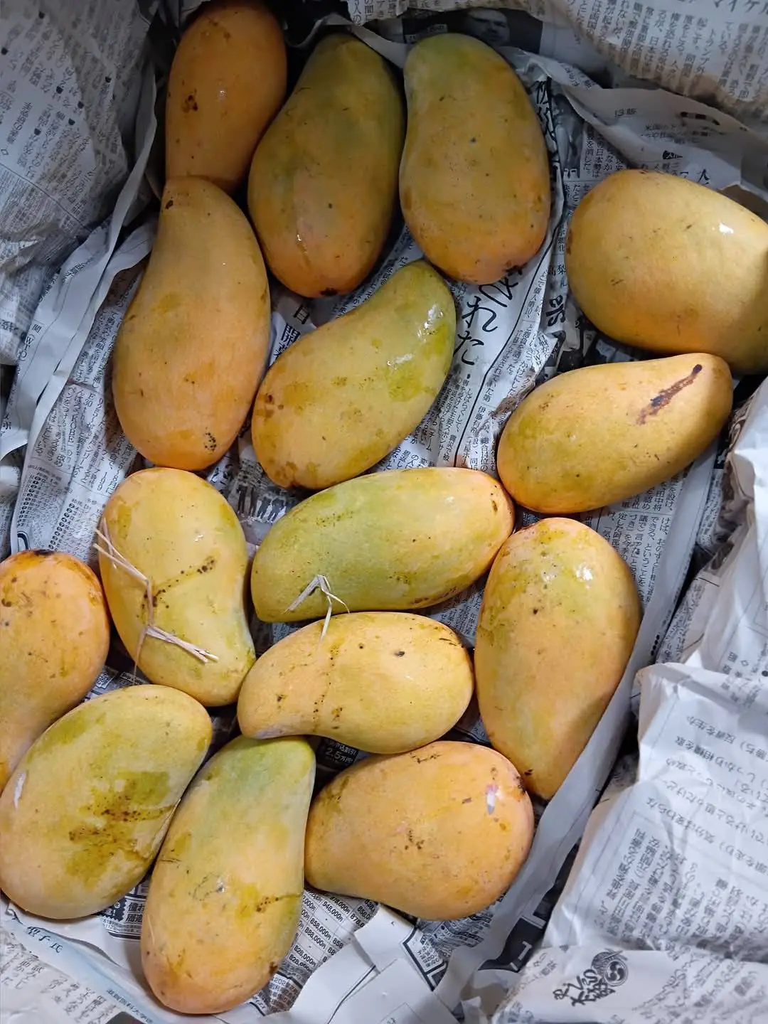 . Doctors Explain the Health Benefits of Eating Mangoes