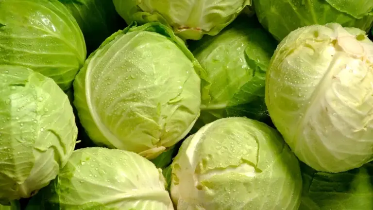 6 Types of People Who May Want to Be Careful with Cabbage Despite Its Benefits