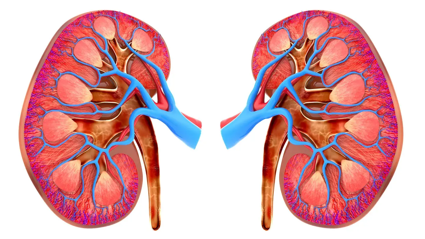 Your Skin Might Be Telling You Something About Your Kidneys—Here Are 3 Signs