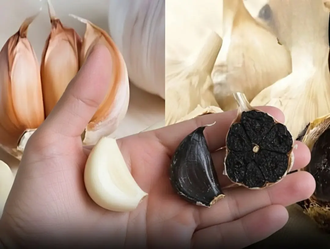 What is the nutritional difference between black garlic and regular garlic?