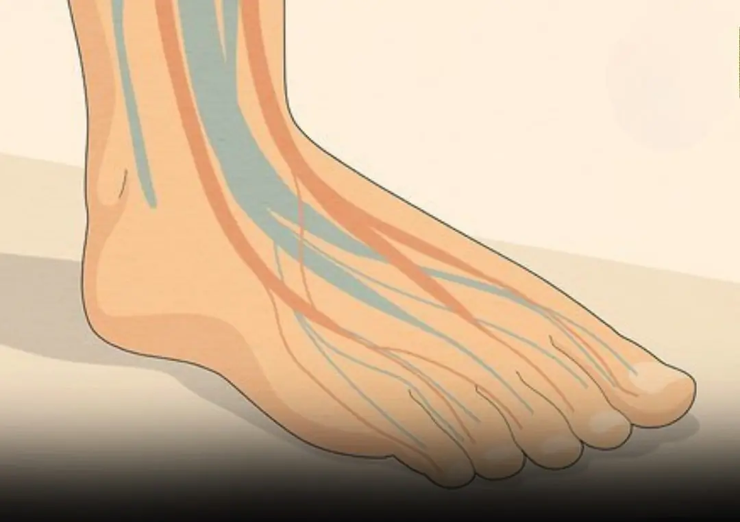 Foot Neuropathy: Warning Signs You Shouldn’t Ignore