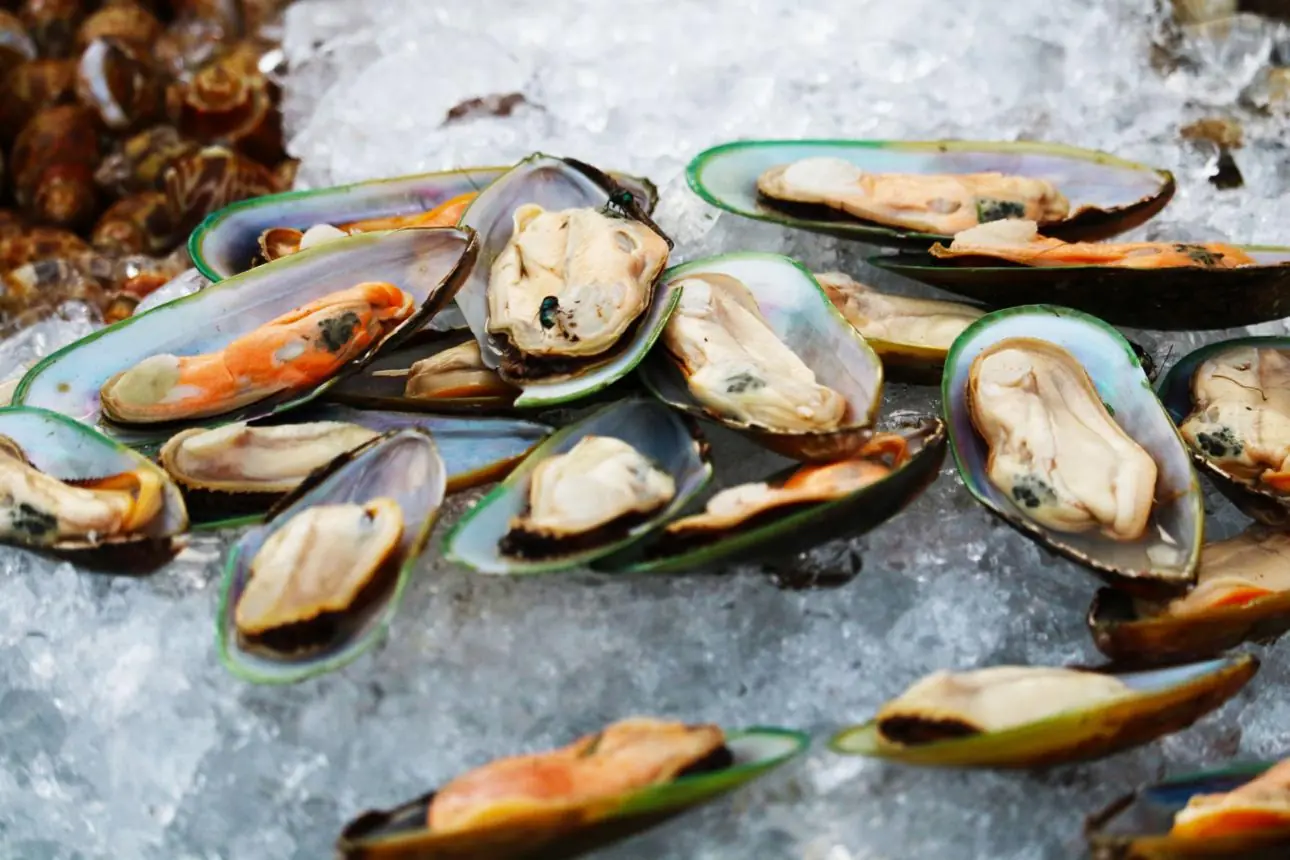 Doctor’s Warning: 4 Foods That May Carry Parasites and How to Stay Safe